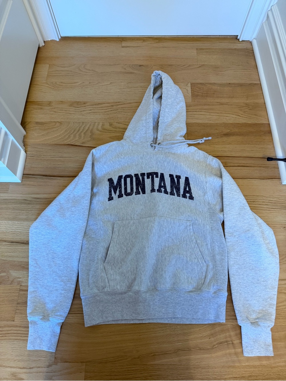 Champion Gray Montana Hooded Sweatshirt